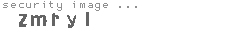 security image