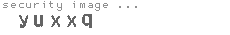 security image
