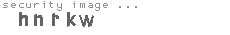 security image