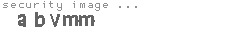 security image