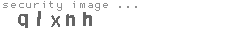 security image