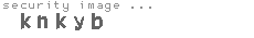 security image
