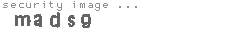 security image