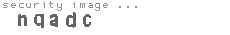security image