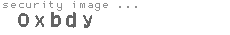 security image