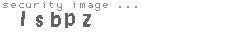 security image