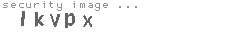 security image