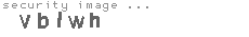 security image