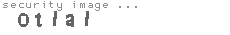 security image