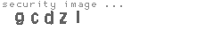 security image