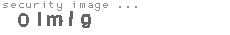 security image