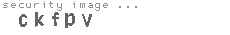 security image