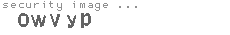 security image