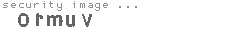 security image