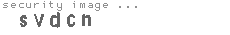 security image