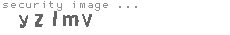 security image