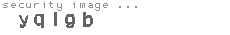 security image