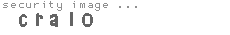security image