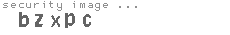 security image