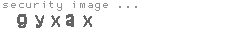 security image