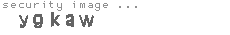 security image