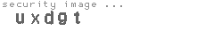 security image
