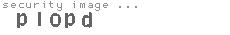 security image