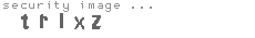 security image