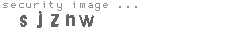 security image