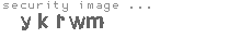 security image