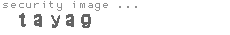 security image