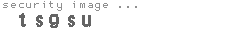 security image