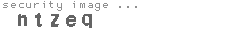 security image