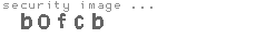security image