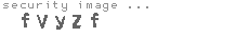 security image