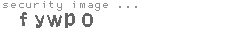 security image