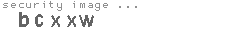 security image