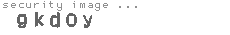 security image