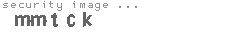 security image