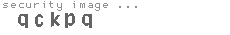 security image