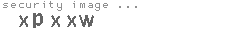 security image