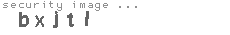 security image