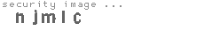 security image
