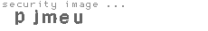 security image