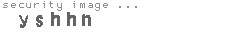 security image