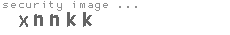 security image