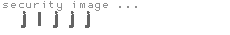 security image