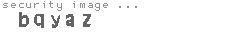 security image
