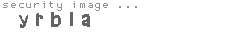 security image