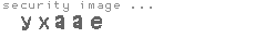 security image